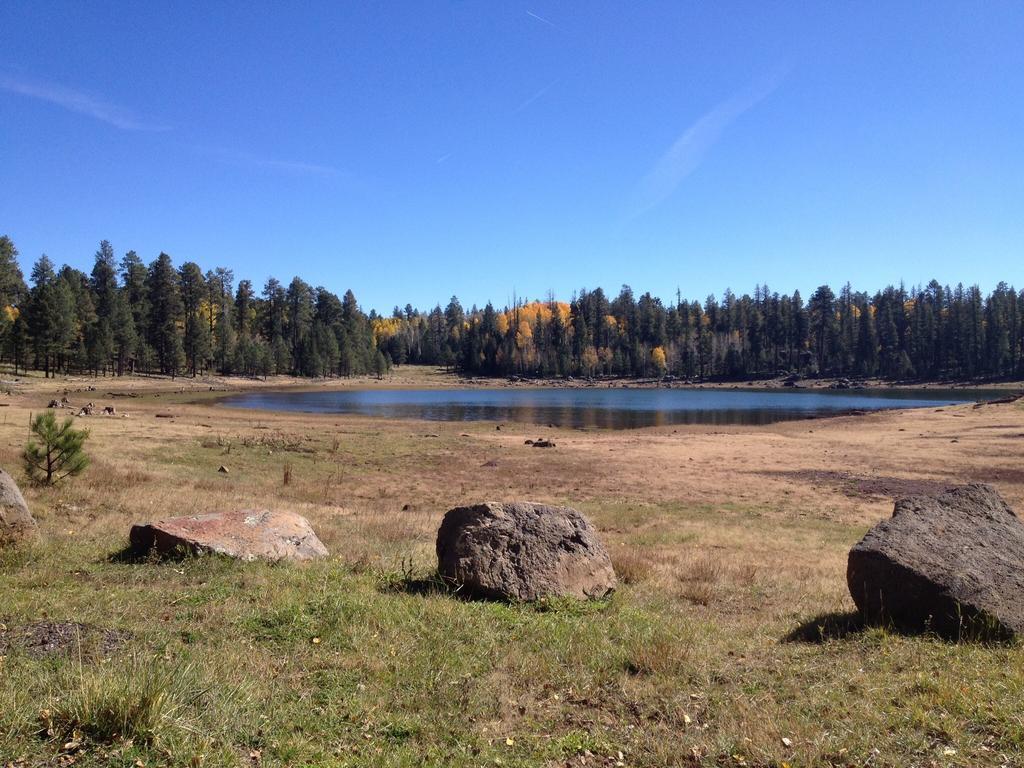Mountain Haven Inn Pinetop-Lakeside Zewnętrze zdjęcie