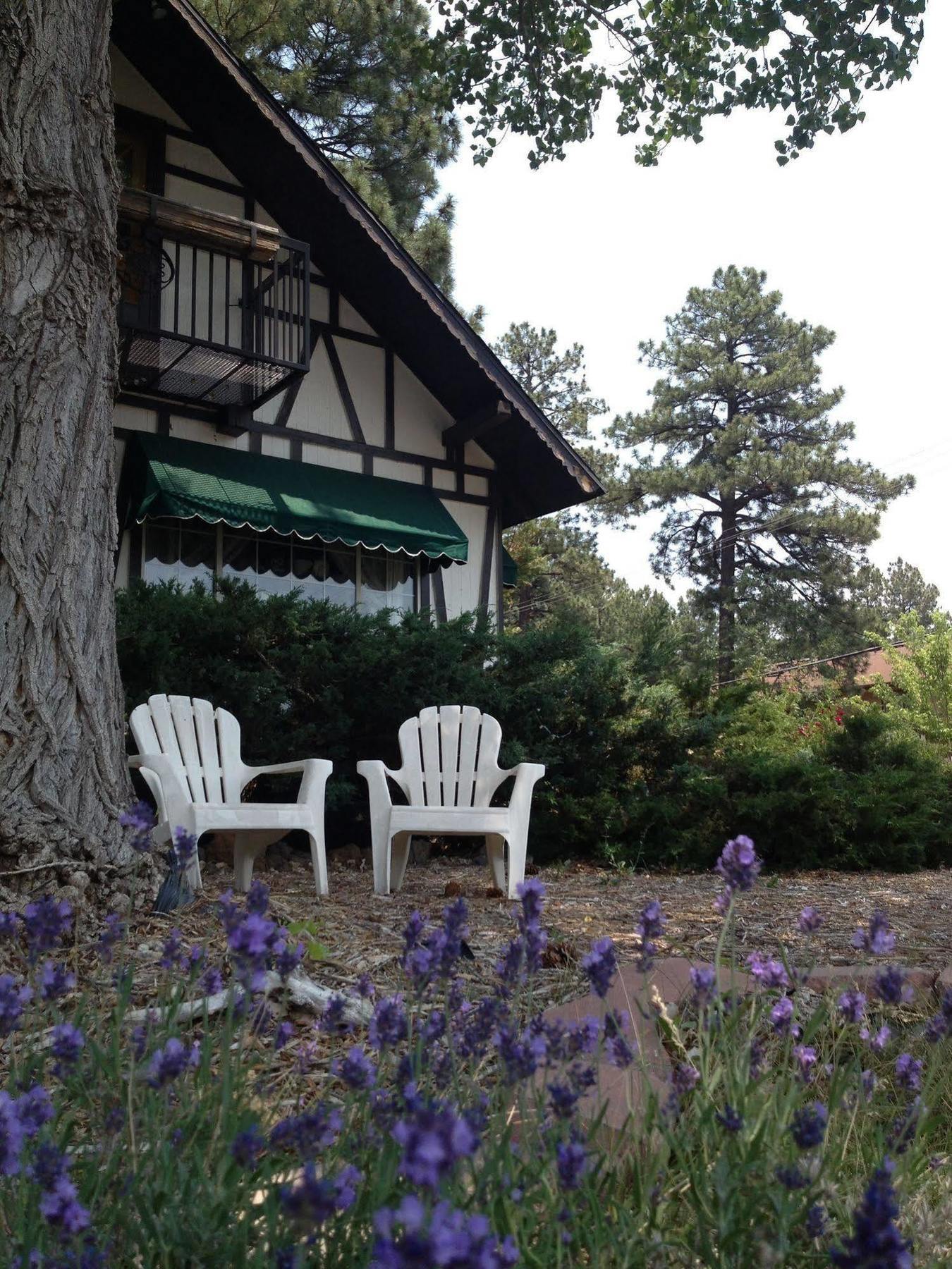 Mountain Haven Inn Pinetop-Lakeside Zewnętrze zdjęcie